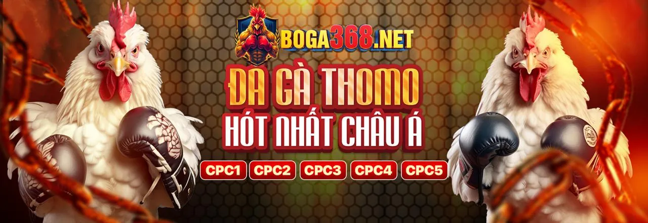Đá gà trực tuyến xin888